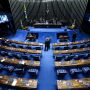 Arcabouço passará por comissão do Senado antes do plenário, diz Pacheco