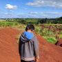 Fazenda que já foi escola para indígenas hoje está arrendada e ameaça os guarani-kaiowá