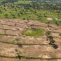 MPE diz que lei de MS &eacute; permissiva e exige fim dos desmatamentos no Pantanal