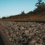 Falta de verba p&uacute;blica e de interesse privado travam expans&atilde;o de ferrovias