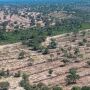 Em meio a constru&ccedil;&atilde;o da Lei do Pantanal, Abin discutir&aacute; mudan&ccedil;as clim&aacute;ticas em MS