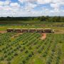 Suzano implanta megaestrutura para viabilizar uso de hexatrens em Ribas