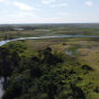 Pantanal: decreto que suspende desmatamento sai no dia 16; "fechado para balan&ccedil;o", diz governador