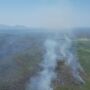 Incêndio no Pantanal: governo decreta situação de emergência em 5 municípios