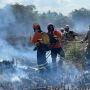 Depois de Bonito, incêndios florestais atingem áreas pantaneiras de Coxim e Corumbá