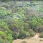 Bombeiros conseguem controlar fogo em reserva que perdeu 1,4 mil hectares em Corumb&aacute;