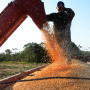 Faturamento do agroneg&oacute;cio de Mato Grosso do Sul ultrapassa os R$ 50 bilh&otilde;es