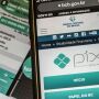 Pix bate recorde de transa&ccedil;&otilde;es com 152,7 milh&otilde;es em um &uacute;nico dia