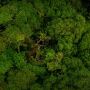 Entidade de Rio Negro &eacute; alvo do MPF por pesquisas ligadas &agrave; "Ratanab&aacute;"