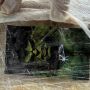 Pol&iacute;cia Federal prende caminhoneiro com 100 quilos de coca&iacute;na do "Incr&iacute;vel Hulk" em Ponta Por&atilde;
