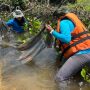 Peixes são capturados no Pantanal para compor fauna aquática do Bioparque