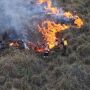 Incêndios no Pantanal podem ultrapassar recorde de 2020