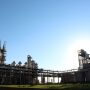 Setor sucroenergético investirá R$ 4,3 bilhões nos próximos anos