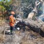 MS tem 133% mais focos de incêndio neste ano