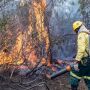 STF determina mobilização máxima de agentes para atuar contra incêndios no Pantanal