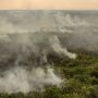 Sem chuva, norte do Pantanal segue com pequenos focos de incêndio 