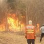 Ibama mobiliza brigadistas para combate a inc&ecirc;ndios na Bol&iacute;via