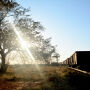 Leil&atilde;o de R$ 35 bi da Malha Oeste atrai Irm&atilde;os Batista, Rumo, MRS e FCA