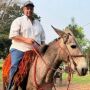 Na mesma cidade, 2° fazendeiro morre por picadas de abelha em MS