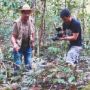 Conheça a relação de moradores de Campo Grande com as árvores