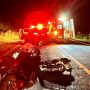 Acidente entre moto e capivara deixa mulher morta em rodovia de MS