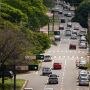 MS lidera ranking da população que mora em ruas arborizadas, diz IBGE