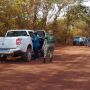 Filhote de anta atropelado no Pantanal está sendo transferido para Campo Grande
