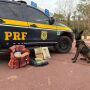 Ação da PRF prende quatro pessoas, apreende veículo furtado e drogas em MS