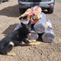 Com ajuda de cães farejadores, polícia apreende quase R$ 1 milhão em drogas 