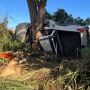 Três pessoas morrem em colisão de caminhonete com uma árvore na BR-262