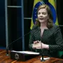 Gleisi: 'Não temos dependência de mercados hegemônicos das nossas vendas'