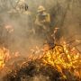 Fazendeiro é multado em quase R$ 800 mil por incêndio em propriedade rural