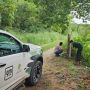 IHP denuncia furto de equipamento que monitora onça-pintada no Pantanal
