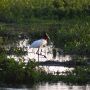 Fundo Pantanal indeniza desde banqueiro a gigante do Agro