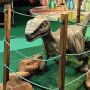 Dinossauros invadem shopping e roubam a cena em Campo Grande
