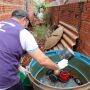 Dourados fiscaliza 1,3 mil casas e aplica multas em combate a chikungunya