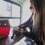 Quatro bairros de Campo Grande recebem consulta veterinária gratuita em junho
