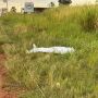 Pol&iacute;cia investiga morte por atropelamento na BR-376
