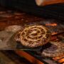 Festa da Lingui&ccedil;a promete atrair 30 mil pessoas em Maracaju