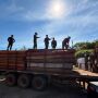 PF rastreia transportadoras ap&oacute;s apreens&atilde;o de at&eacute; 50 toneladas de coca&iacute;na