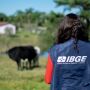  IBGE abre 284 vagas em MS para o Censo Agropecu&aacute;rio com sal&aacute;rios de at&eacute; R$ 4 mil