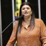 STF cobra explica&ccedil;&atilde;o de emenda pix enviada para Porto Murtinho por Rose Modesto