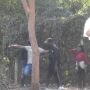 Criminosos que atravessavam haitianos ilegalmente de Corumb&aacute; para a Bol&iacute;via s&atilde;o condenados
