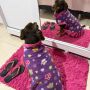 Campanha arrecada cobertores e agasalhos para pets; saiba como ajudar