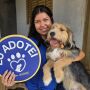 Feira de ado&ccedil;&atilde;o tem c&atilde;es e gatos &agrave; espera de um lar neste domingo