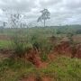 MPMS investiga degrada&ccedil;&atilde;o ambiental em fazenda de Santa Rita do Pardo