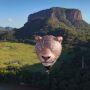 Balão em formato de onça-pintada estreia no céu do Pantanal de MS
