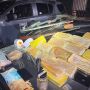 Enquadro em Campo Grande termina em achado de arsenal que tinha at&eacute; arco tipo 'besta'