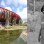 Bioparque Pantanal pode ganhar nome de cientista corumbaense nascida em 1912