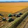 Por R$ 161 milh&otilde;es, fazenda do arroz Tio Bepy vai a leil&atilde;o 